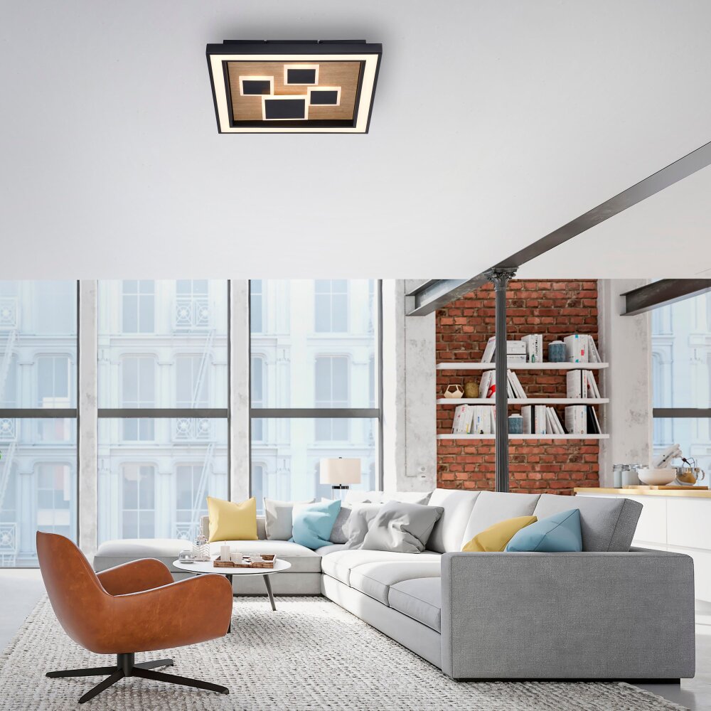 Paul-Neuhaus ELIZA Plafondlamp LED Natuurlijke kleuren, Zwart, 1-licht main product photo