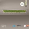 Leuchten-Direkt GREEN KNUT Plafondlamp LED Zilver, 1-licht