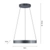 Paul-Neuhaus PURE E-CLIPSE Hanglamp LED Grijs, 2-lichts, Afstandsbediening