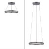 Paul-Neuhaus PURE E-LOOP Hanglamp LED Grijs, 2-lichts, Afstandsbediening