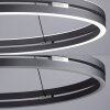 Paul-Neuhaus PURE E-LOOP Hanglamp LED Grijs, 2-lichts, Afstandsbediening