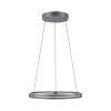 Paul-Neuhaus PURE E-LOOP Hanglamp LED Grijs, 2-lichts, Afstandsbediening