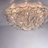 Paul-Neuhaus SAREA Plafondlamp Zilver, 10-lichts