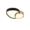 Trio RISE Plafondlamp LED Zwart-Goud, 1-licht, Afstandsbediening
