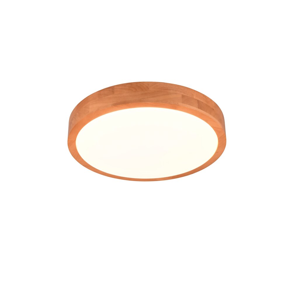 Trio ISEO Plafondlamp LED Hout licht, 1-licht main product photo