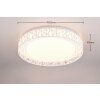 Reality CLUSTER Plafondlamp LED Wit, 1-licht, Afstandsbediening