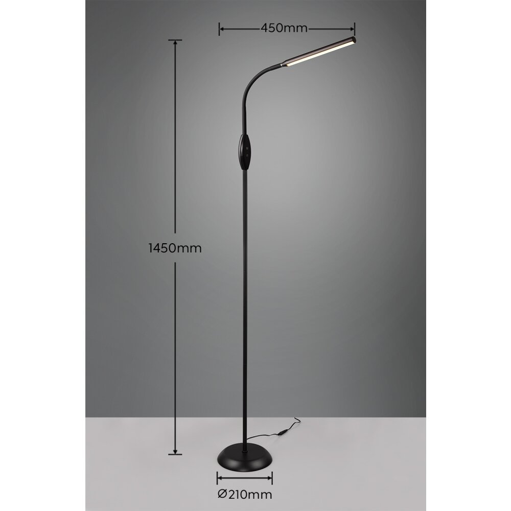 Reality TORO Staande lamp LED Zwart, 1-licht