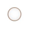 Reality FELIS Plafondlamp LED Zwart-Goud, 1-licht, Afstandsbediening