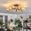 Chehalis Plafondlamp - Glas 12 cm Goud, Zwart, 6-lichts