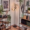 Remaisnil Staande lamp - Glas 15 cm Rookkleurig, 3-lichts