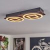 Taboneira Plafondlamp LED Donkerbruin, Zwart, 2-lichts