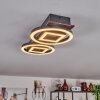 Taboneira Plafondlamp LED Donkerbruin, Zwart, 2-lichts