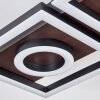 Taboneira Plafondlamp LED Donkerbruin, Zwart, 2-lichts
