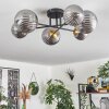 Chehalis Plafondlamp - Glas 10 cm, 12 cm, 15 cm Goud, Zwart, 6-lichts