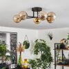 Chehalis Plafondlamp - Glas 15 cm Goud, Zwart, 6-lichts
