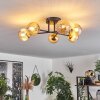 Chehalis Plafondlamp - Glas 15 cm Goud, Zwart, 6-lichts