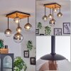 Chehalis Plafondlamp - Glas 10 cm, 12 cm, 15 cm Natuurlijke kleuren, Zwart, 5-lichts