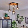 Chehalis Plafondlamp - Glas 10 cm, 12 cm, 15 cm Natuurlijke kleuren, Zwart, 5-lichts