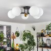 Chehalis Plafondlamp - Glas 15 cm Goud, Zwart, 6-lichts