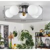 Chehalis Plafondlamp - Glas 15 cm Goud, Zwart, 6-lichts