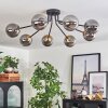 Chehalis Plafondlamp - Glas 12 cm Goud, Zwart, 8-lichts
