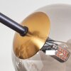 Chehalis Plafondlamp - Glas 12 cm Goud, Zwart, 8-lichts
