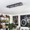 Taboneira Plafondlamp LED Natuurlijke kleuren, Zwart, 3-lichts