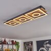Taboneira Plafondlamp LED Natuurlijke kleuren, Zwart, 3-lichts