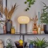Godrie Tafellamp Taupe, 1-licht
