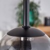 Chehalis Plafondlamp - Glas 10 cm, 12 cm, 15 cm Rookkleurig, 5-lichts