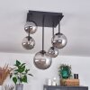Chehalis Plafondlamp - Glas 10 cm, 12 cm, 15 cm Rookkleurig, 5-lichts