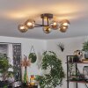 Chehalis Plafondlamp - Glas 10 cm Goud, Zwart, 6-lichts