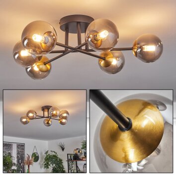 Chehalis Plafondlamp - Glas 10 cm Goud, Zwart, 6-lichts
