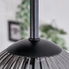 Chehalis Plafondlamp - Glas 12 cm Rookkleurig, 5-lichts