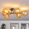 Chehalis Plafondlamp - Glas 15 cm Goud, Zwart, 6-lichts