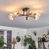 Chehalis Plafondlamp - Glas 10 cm Goud, Zwart, 6-lichts