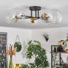 Chehalis Plafondlamp - Glas 12 cm, 15 cm Goud, Zwart, 6-lichts