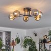 Chehalis Plafondlamp - Glas 10 cm Goud, Zwart, 6-lichts