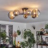 Chehalis Plafondlamp - Glas 10 cm, 12 cm, 15 cm Goud, Zwart, 6-lichts