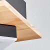 Taboneira Plafondlamp LED Natuurlijke kleuren, Zwart, 2-lichts