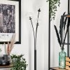 Bernado Staande lamp - Glas 12 cm Duidelijk, 3-lichts