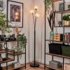 Bernado Staande lamp Zilver, 3-lichts