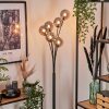 Bernado Staande lamp - Glas 12 cm Rookkleurig, 6-lichts Bernado Staande lamp - Glas 12 cm Rookkleurig, 6-lichts