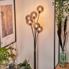 Bernado Staande lamp - Glas 12 cm Rookkleurig, 6-lichts Bernado Staande lamp - Glas 12 cm Rookkleurig, 6-lichts