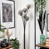 Bernado Staande lamp - Glas 12 cm Rookkleurig, 6-lichts Bernado Staande lamp - Glas 12 cm Rookkleurig, 6-lichts
