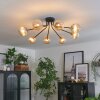 Chehalis Plafondlamp - Glas 12 cm Goud, Zwart, 8-lichts