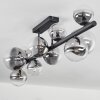 Chehalis Plafondlamp - Glas 10 cm, 12 cm, 15 cm Duidelijk, Rookkleurig, 10-lichts