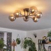 Chehalis Plafondlamp - Glas 12 cm Rookkleurig, 6-lichts