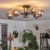 Chehalis Plafondlamp - Glas 12 cm Rookkleurig, 6-lichts