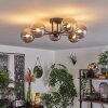 Chehalis Plafondlamp - Glas 12 cm Rookkleurig, 6-lichts
